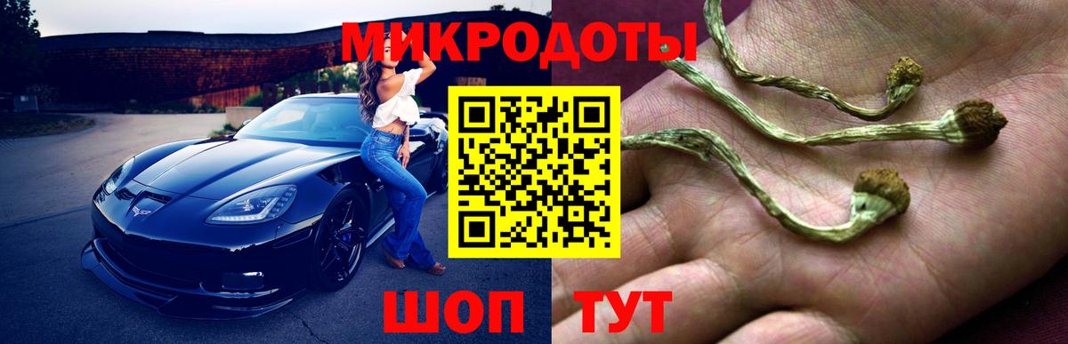 Галлюциногенные грибы Psilocybe  Вход с VPN  Галлюциногенные грибы мухоморы  Белореченск 