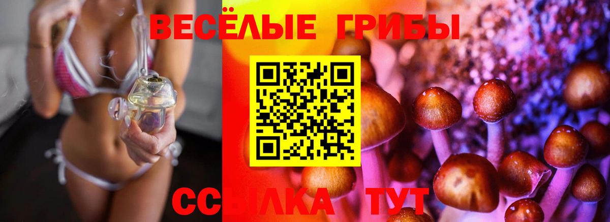 Галлюциногенные грибы Magic Shrooms Белореченск